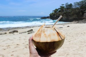 Bali Garden kokos