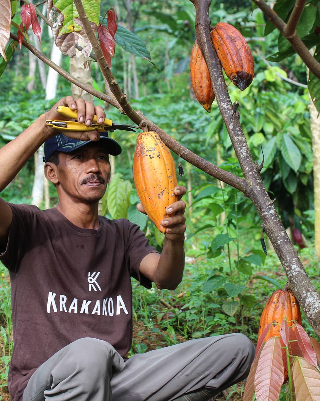 KRAKAKOA – organická bean-to-bar čokoláda z Bali